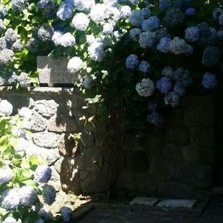 La Villetta In Montagna Vivo d'Orcia ภายนอก รูปภาพ