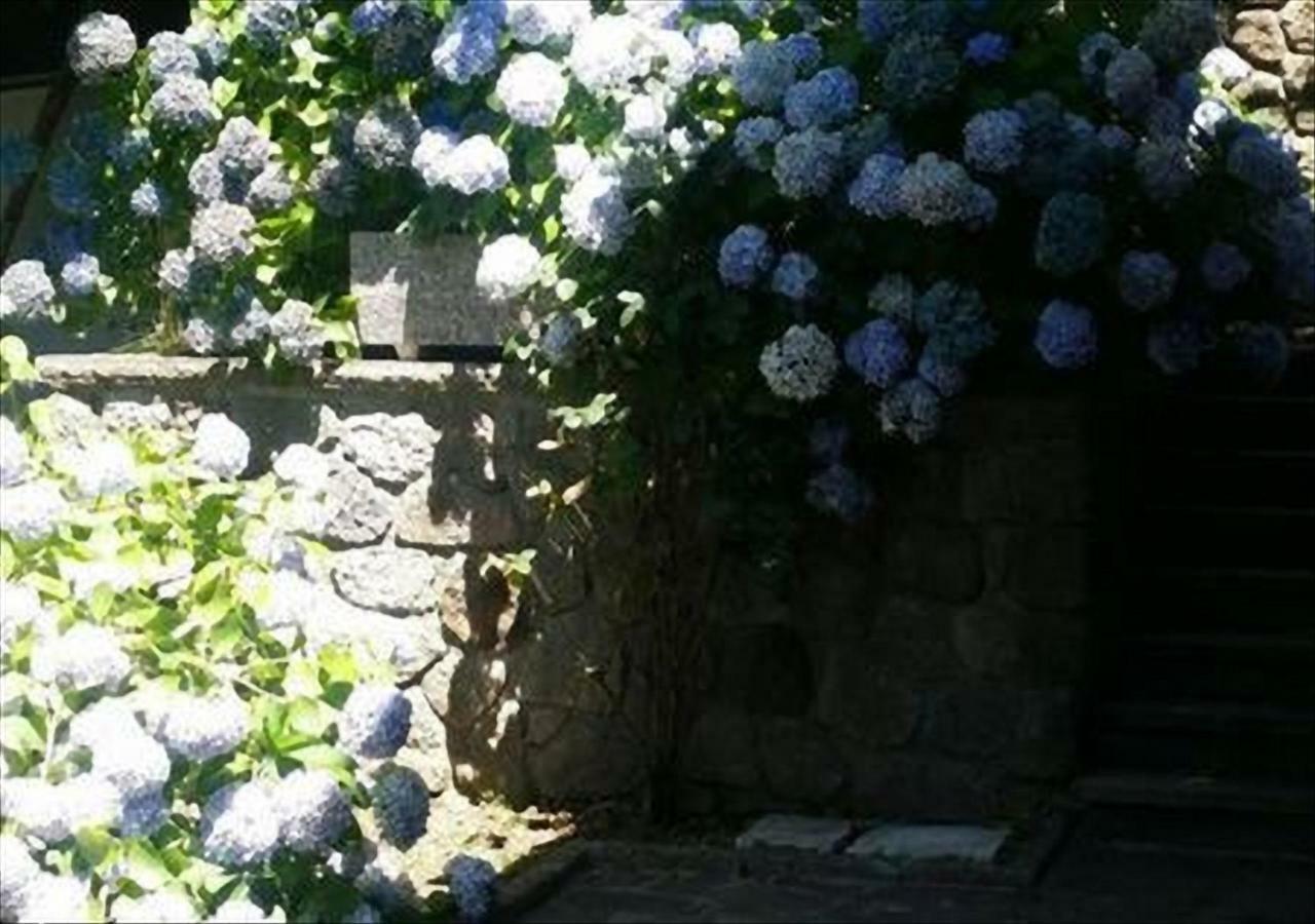 La Villetta In Montagna Vivo d'Orcia ภายนอก รูปภาพ
